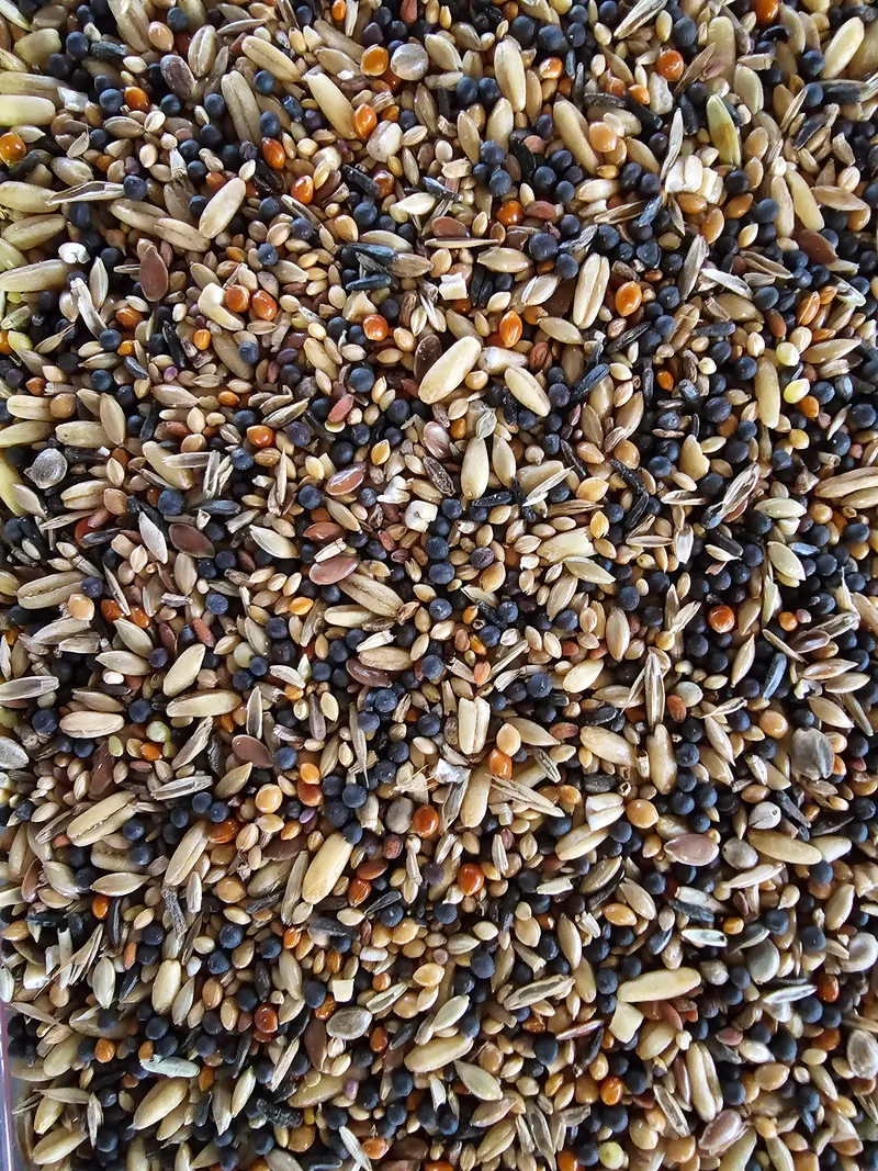 Semillas Saludables Vitakraft.