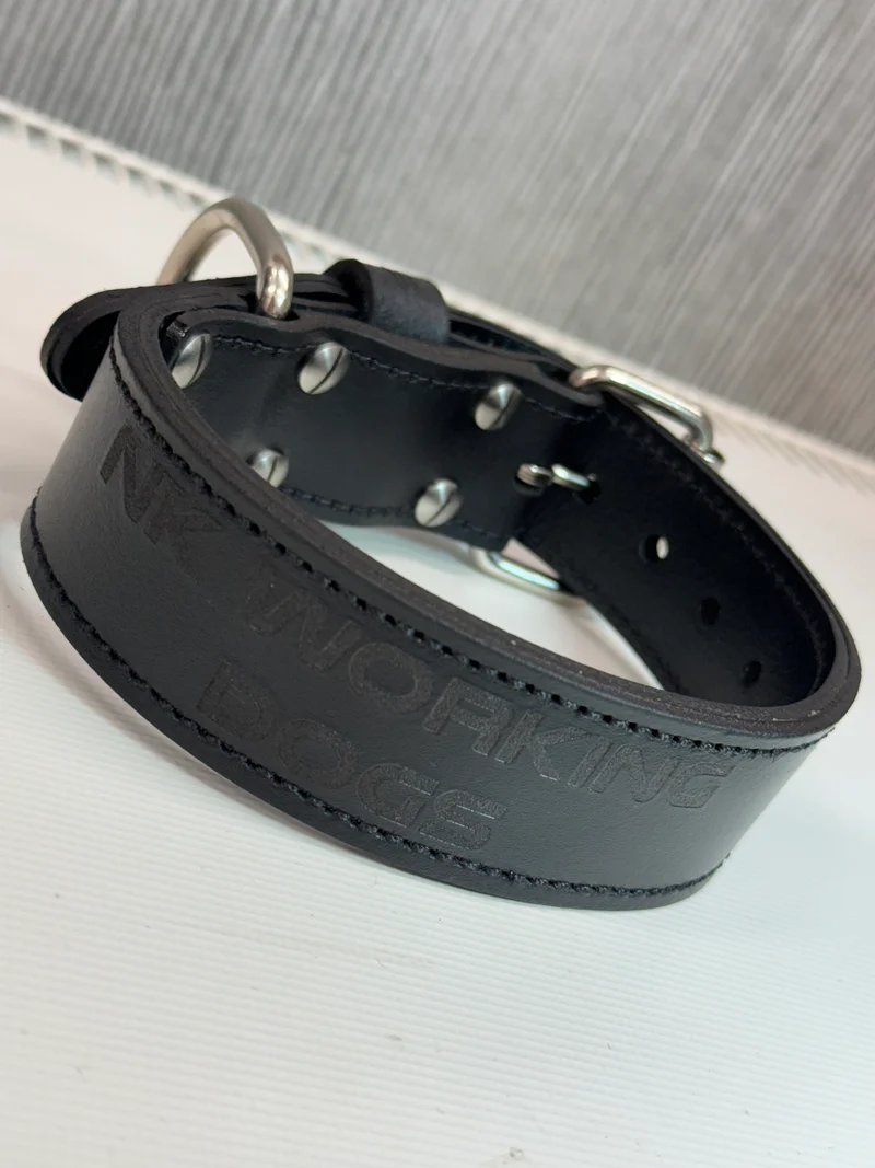 38mm wide every day leather PUPPY COLLAR