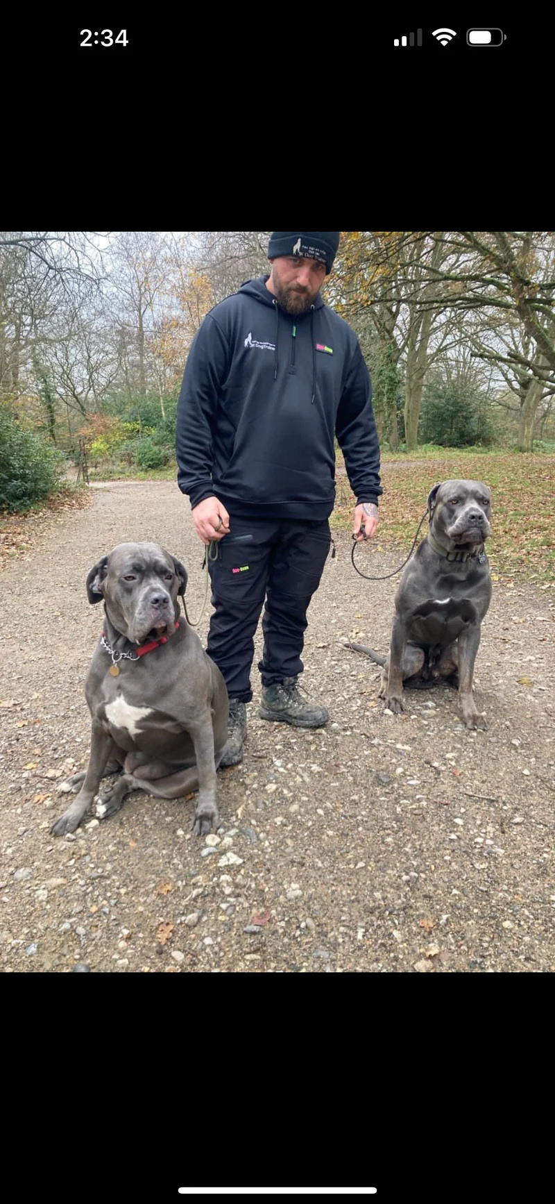 DOG-BOSS RUGGED TRAINING HOODIE