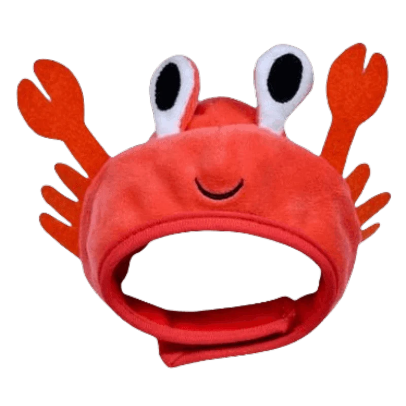Gorros Divertidos para Mascotas