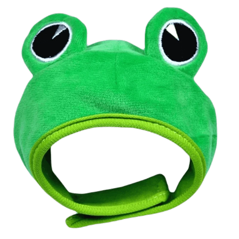 Gorros Divertidos para Mascotas