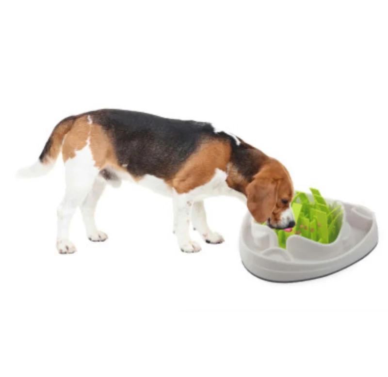 Dog Slow Feeder Bowl