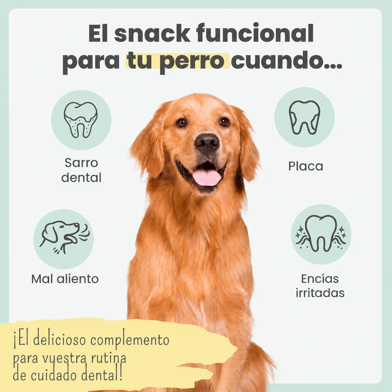 Noms+ Sticks Dentales para Perros 150g