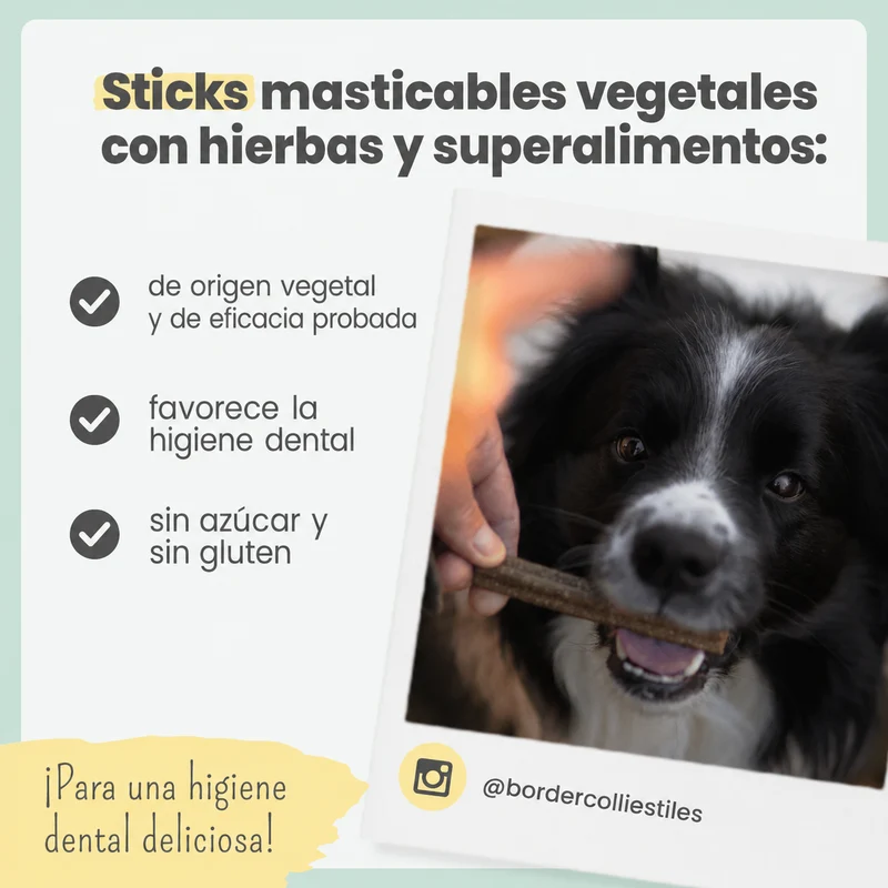 Noms+ Sticks Dentales para Perros 150g