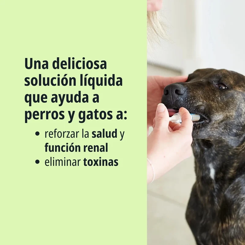Pronefra® | Suspensión Oral para Apoyo de la Función Renal en Perros y Gatos