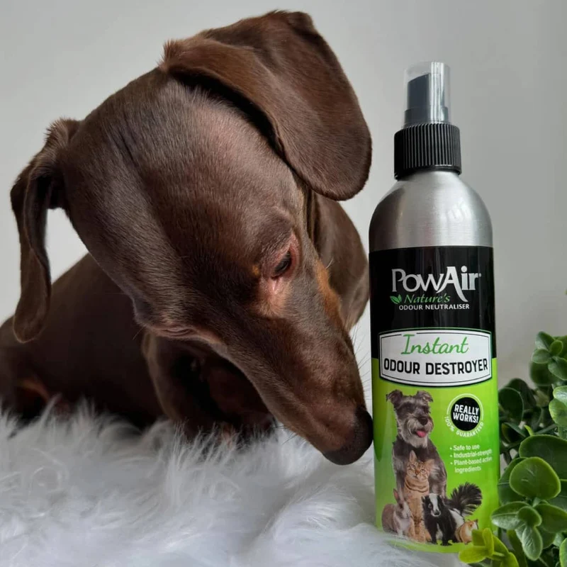 🐾 PowAir Kit Destructor de Manchas y Olores para Mascotas | Elimina olores y manchas de forma eficaz
