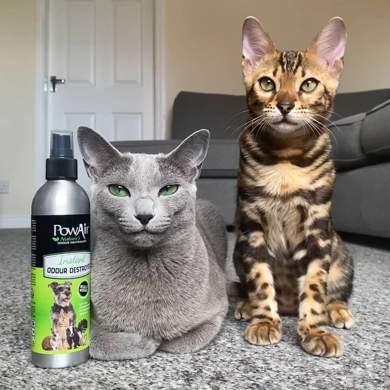 🐾 PowAir Kit Destructor de Manchas y Olores para Mascotas | Elimina olores y manchas de forma eficaz
