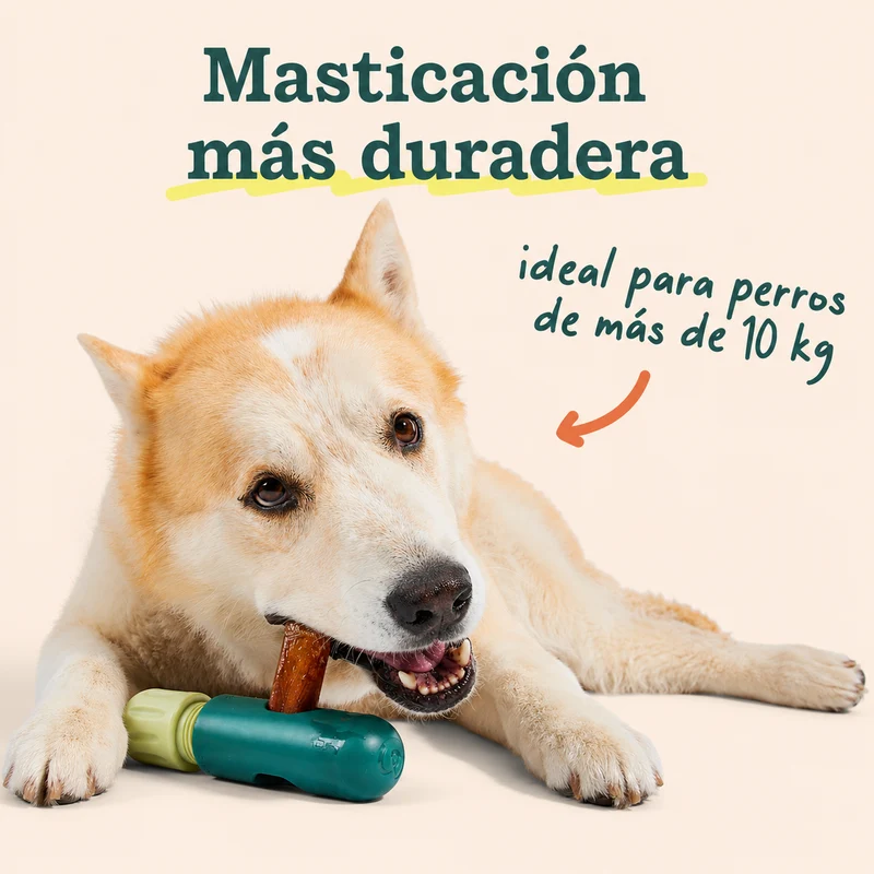 Woof BullySafe Soporte para Sticks Masticables