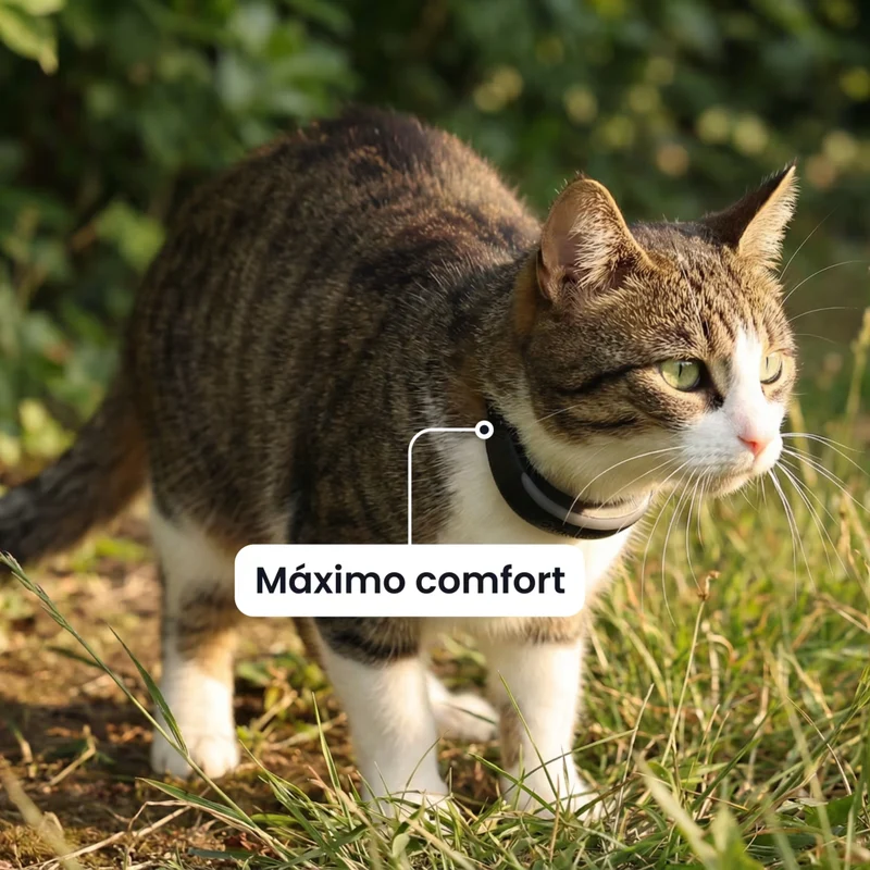 Tractive - GPS Cat 6 Mini