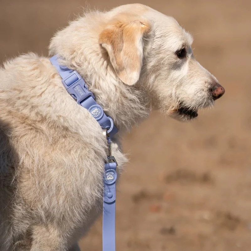 Dukier Correa Waterproof Blue Lavander para Perro
