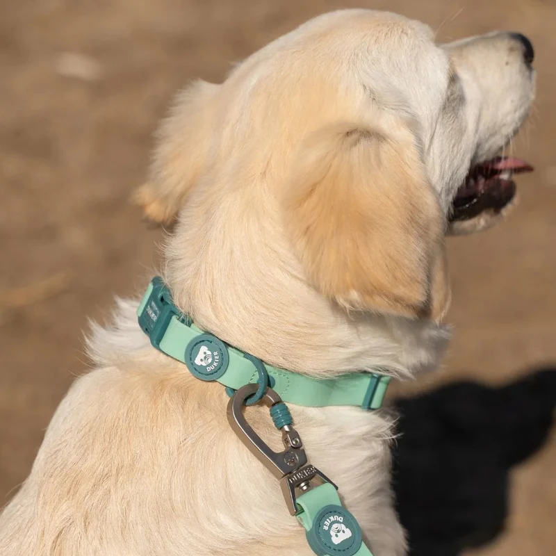 Dukier Collar Waterproof Jade Mint