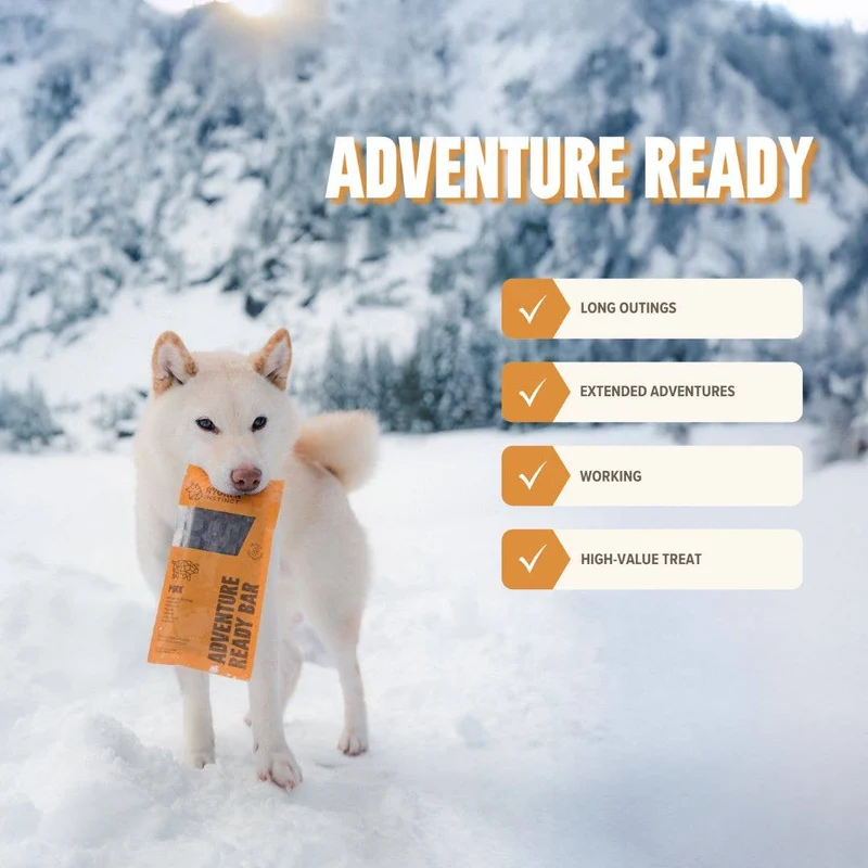 Pork Treat & Snack Bar for Active Dogs - Energy & Recovery