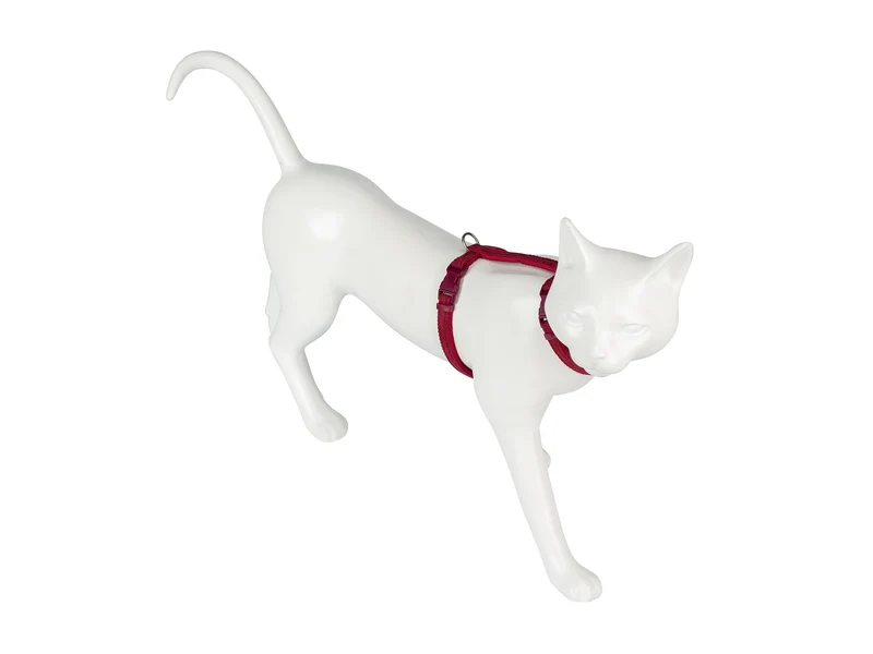 Freecat Kit Arnés y Correa para Gato