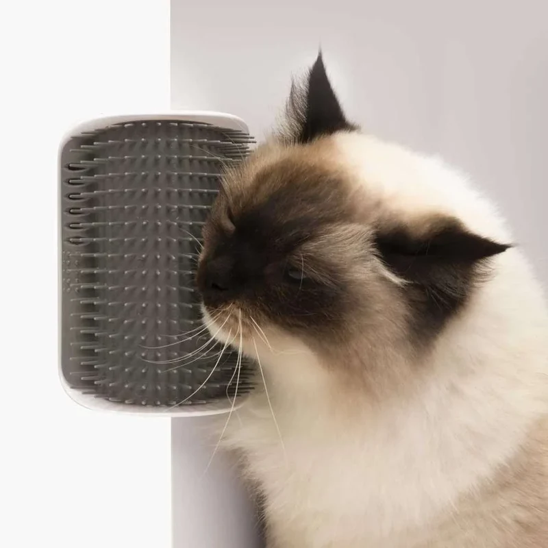 Cepillo con Catnip Catit