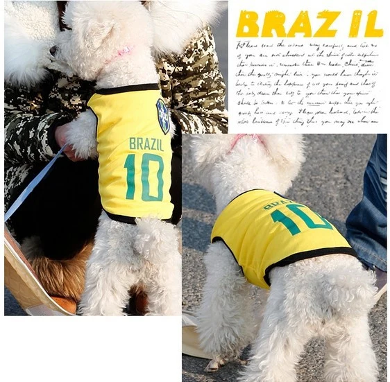 Camisetas del mundial de 8 equipos y 5 tamaños diferentes.
