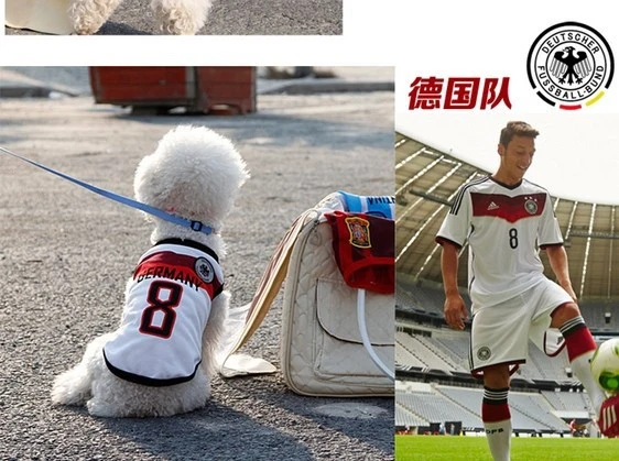 Camisetas del mundial de 8 equipos y 5 tamaños diferentes.