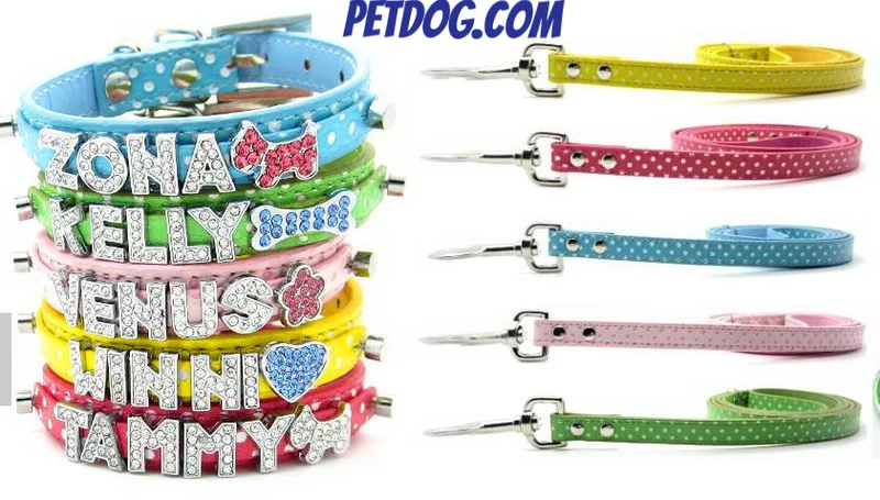 Collar de perro personalizado con el nombre hasta 6 Letras y 1 Figura.