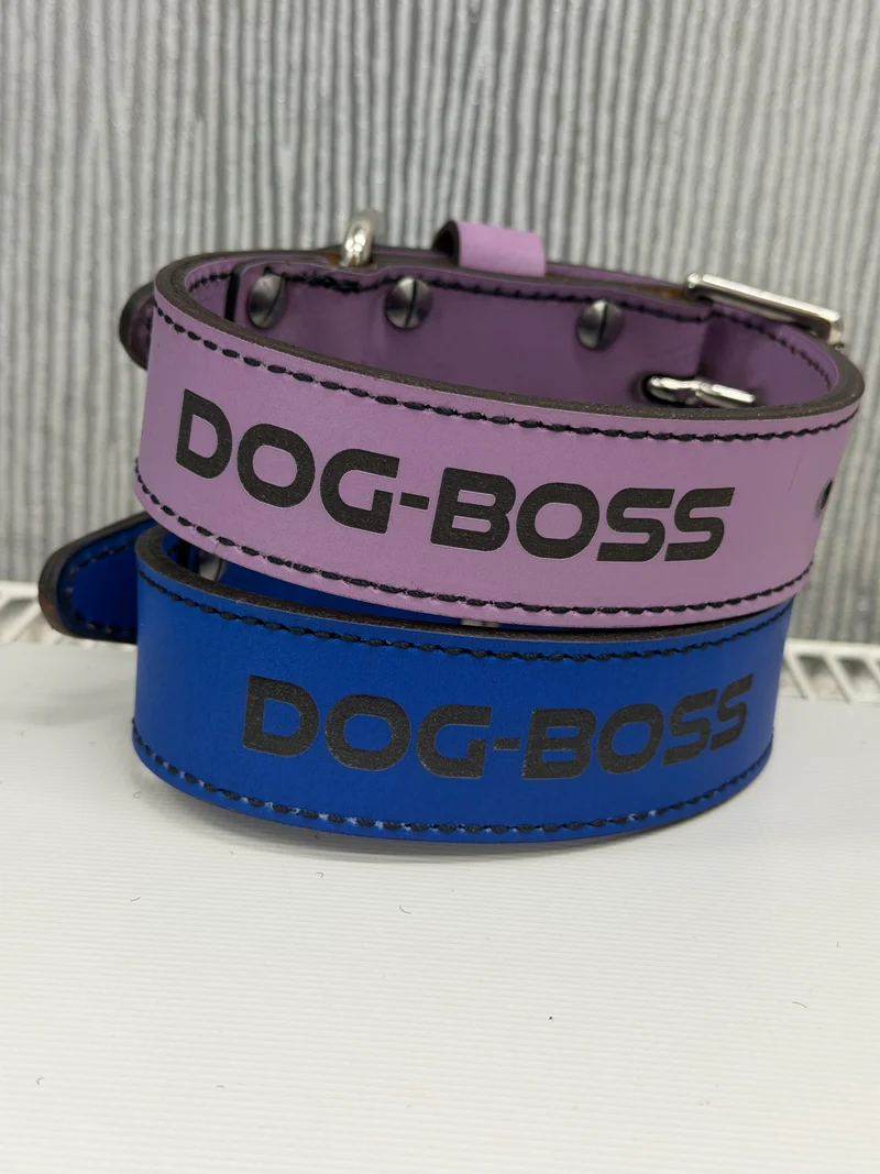 38mm wide small puppy leather collars one cobolt blue & one lavender