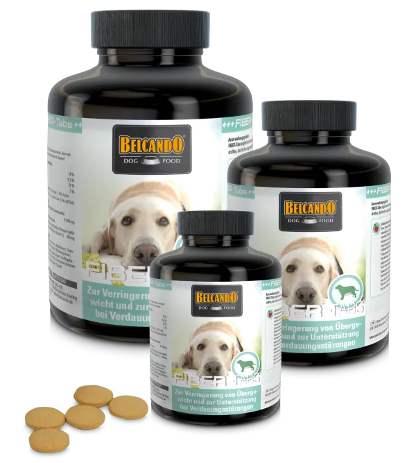 ⚖️ BELCANDO Fiber 40 Tabs | Control de peso y digestión para perros
