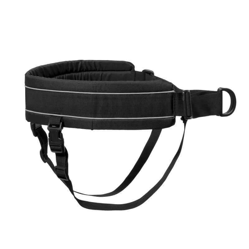 🐕 Kit Canicross DOGGALLOP “Para correr con mi perro” | Equipamiento completo profesional