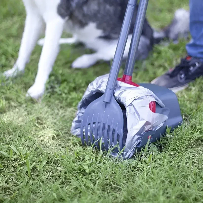 🐶🐱 Recogedor de Excrementos con Rastrillo para Perros y Gatos | Mango Largo