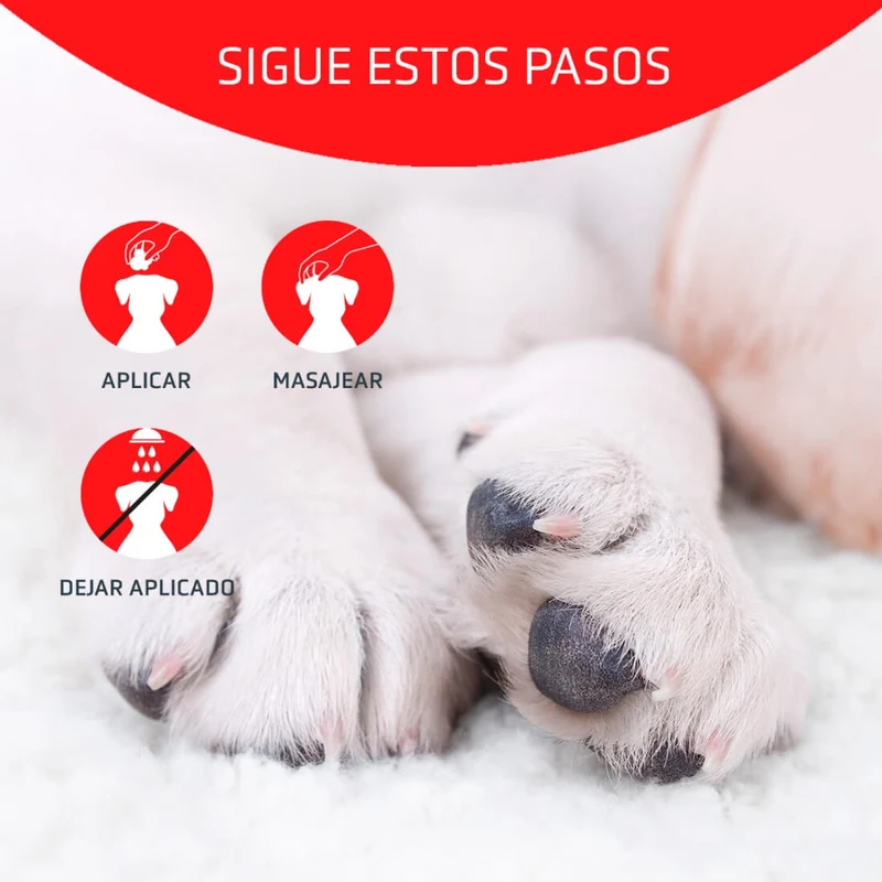 Artero Polvo Hemostático Drakula | Corta hemorragias para perros