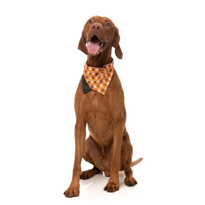 FuzzYard Halloween Bandana "Oogey Boogey Boo"
