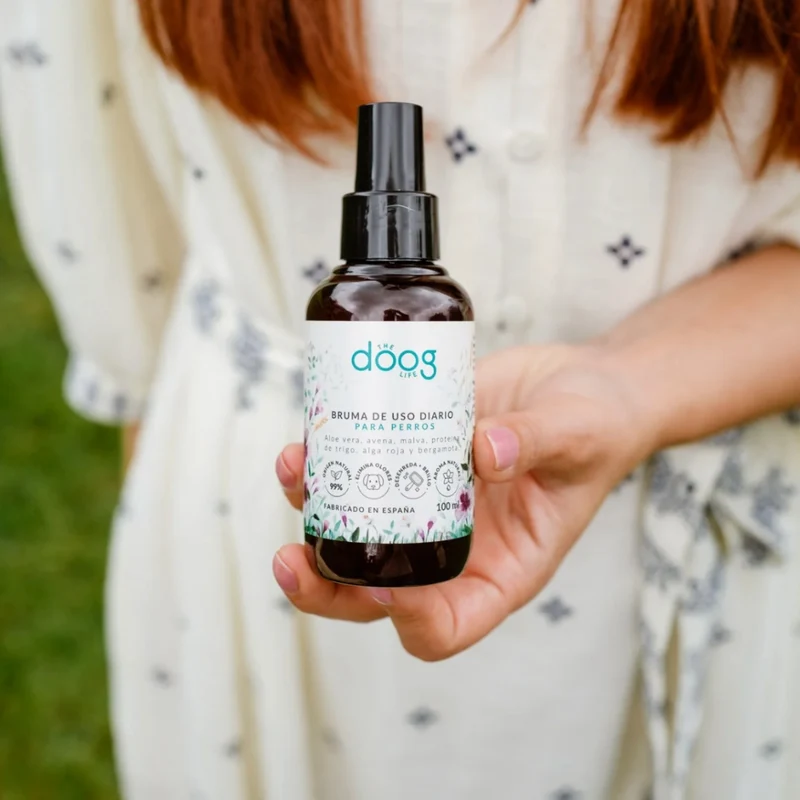 The Doog Life Bruma On the Go