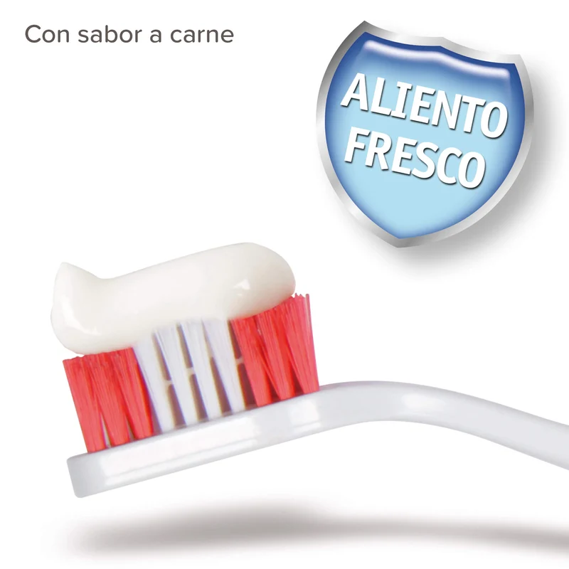 🦷 Beaphar Pack Dental para Perros y Gatos | Pasta + Cepillo