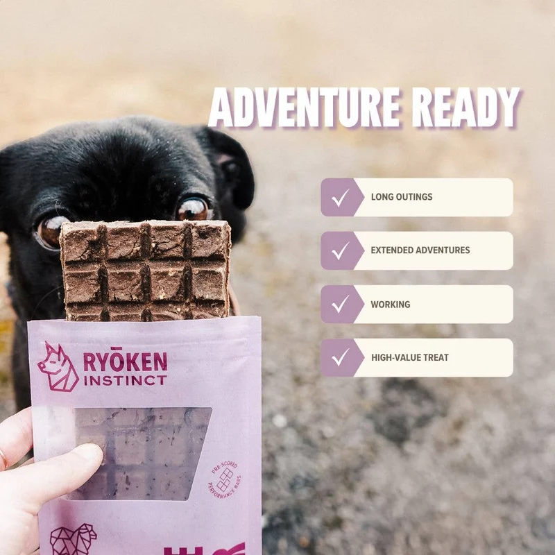 Lamb Treat & Snack Bar for Active Dogs - Energy & Recovery