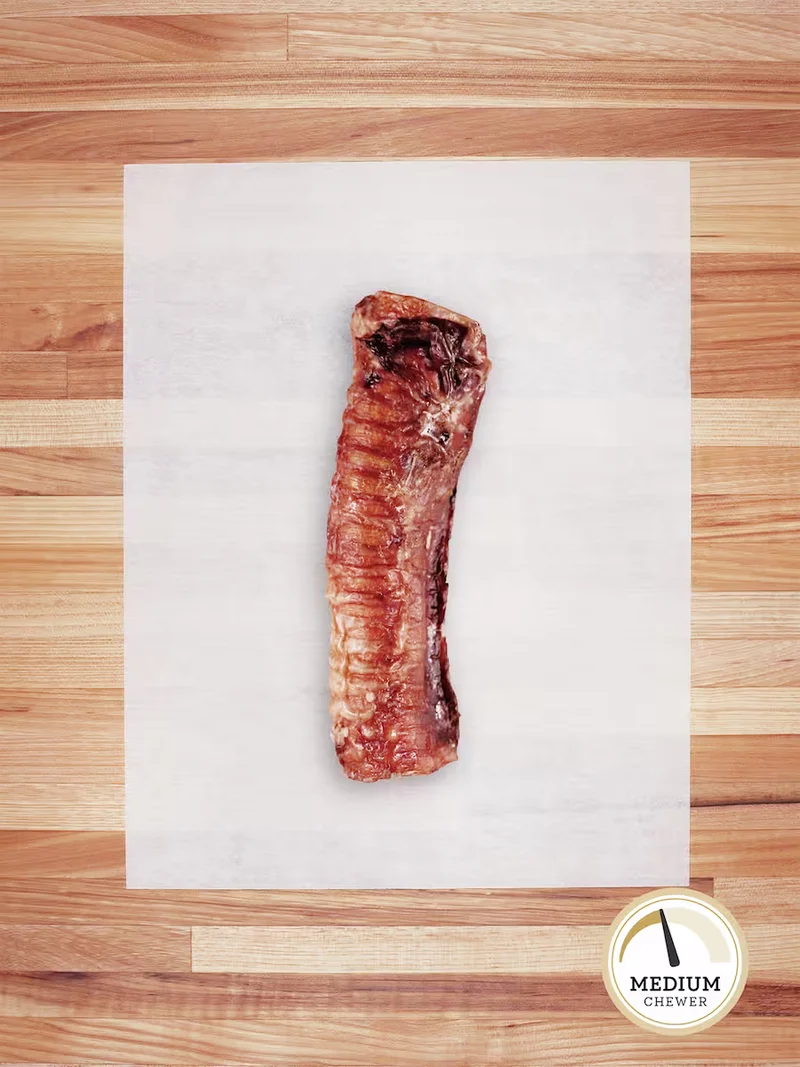 Large Beef Trachea