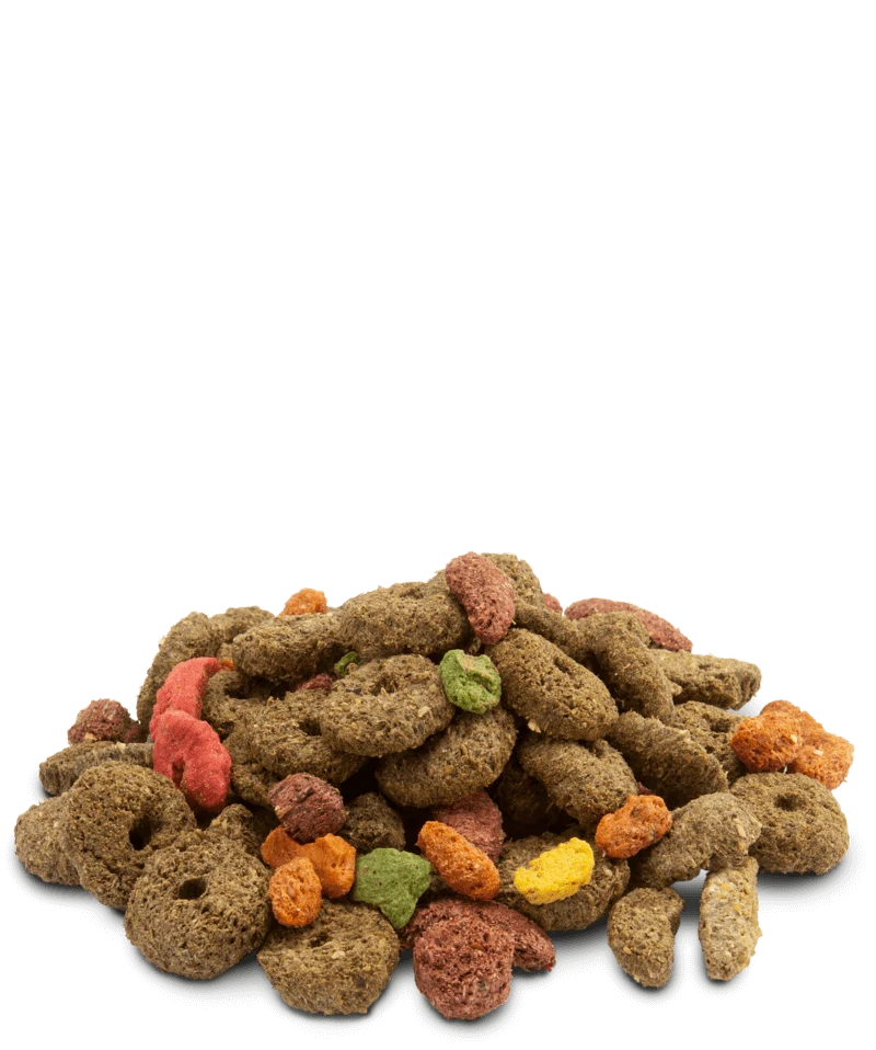 VERSELE LAGA Crispy Snack Fibres | Alimento crispy snack de fibras para conejos, cobayas, chinchillas, degús