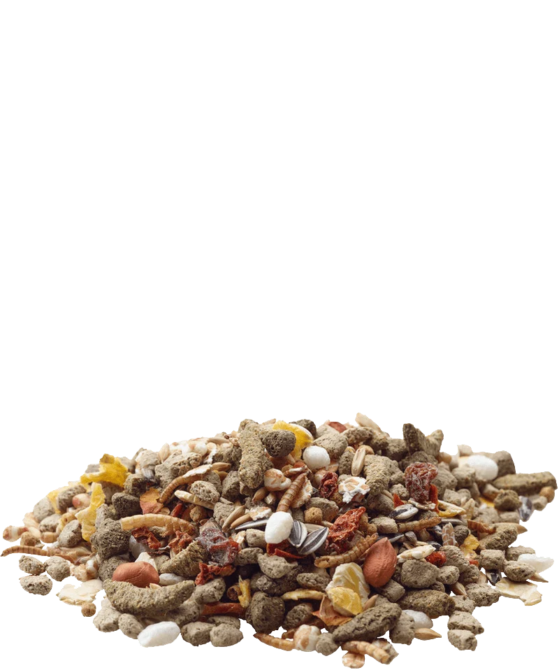 VERSELE LAGA Rat Nature | Alimento natural para ratas