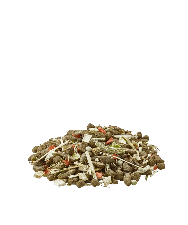 VERSELE LAGA Degu Nature | Alimento para degús