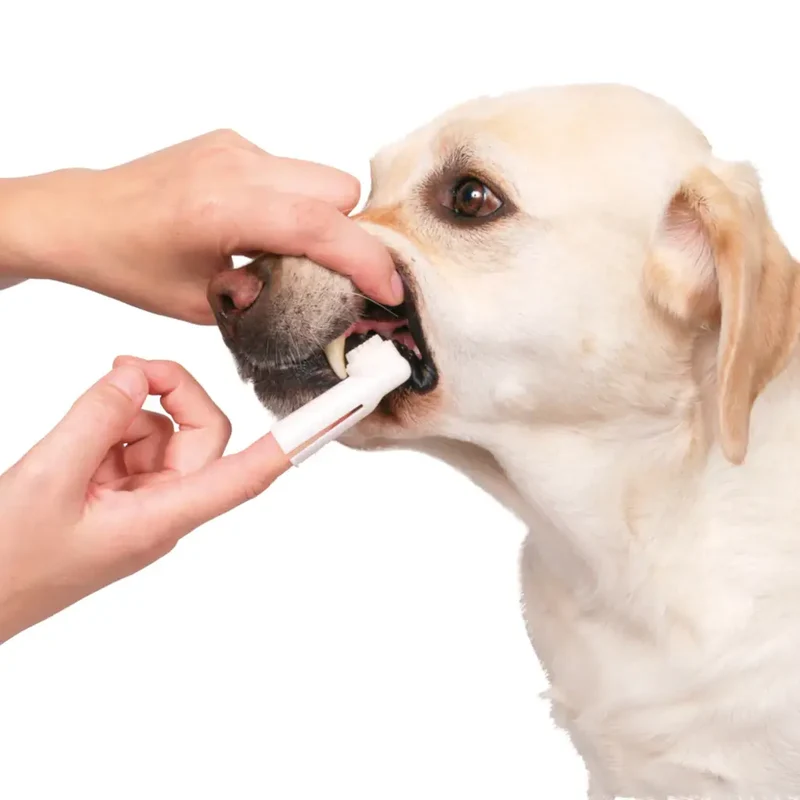 🦷 TRIXIE Set Higiene Dental | Pasta y cepillos de dedo para perros