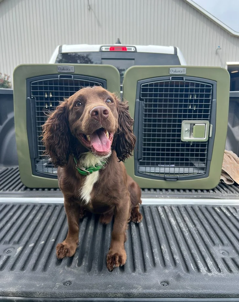 G3 Medium Framed Kennel
