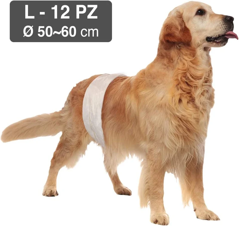 🐾 NAYECO | Pañales para Perro Macho (Pack 12 uds) – Higiene, confort y protección diaria