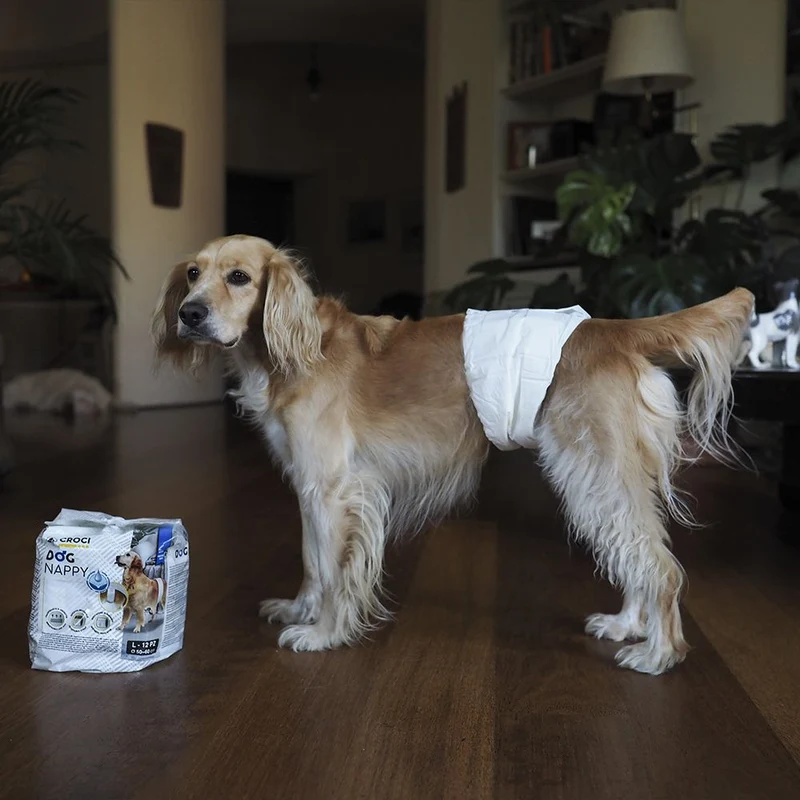 🐾 NAYECO | Pañales para Perro Macho (Pack 12 uds) – Higiene, confort y protección diaria
