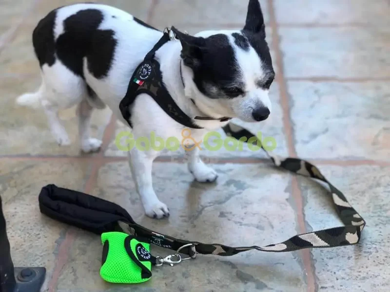 Dispensador de Bolsas TRE PONTI Menta Aqua para Mascotas – Limpieza y Comodidad en Paseos