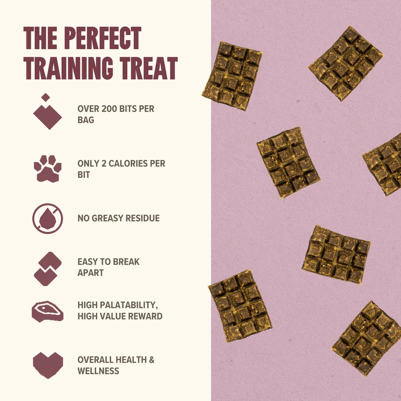 Lamb Mini Training Treats for Dogs - Low-Calorie & Tasty