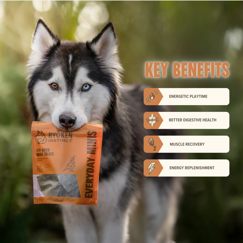 Quail Mini Training Treats for Dogs - Low-Calorie & Tasty