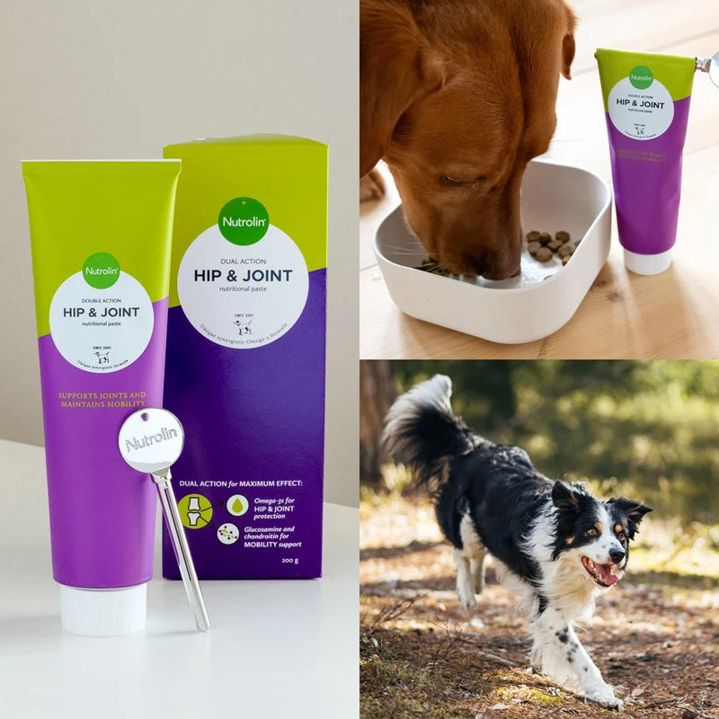 Nutrolin Hip&Joint - Pasta para Perros