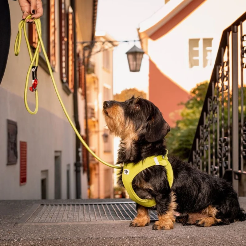 Curli Arnés Air-Mesh CLASP Lima