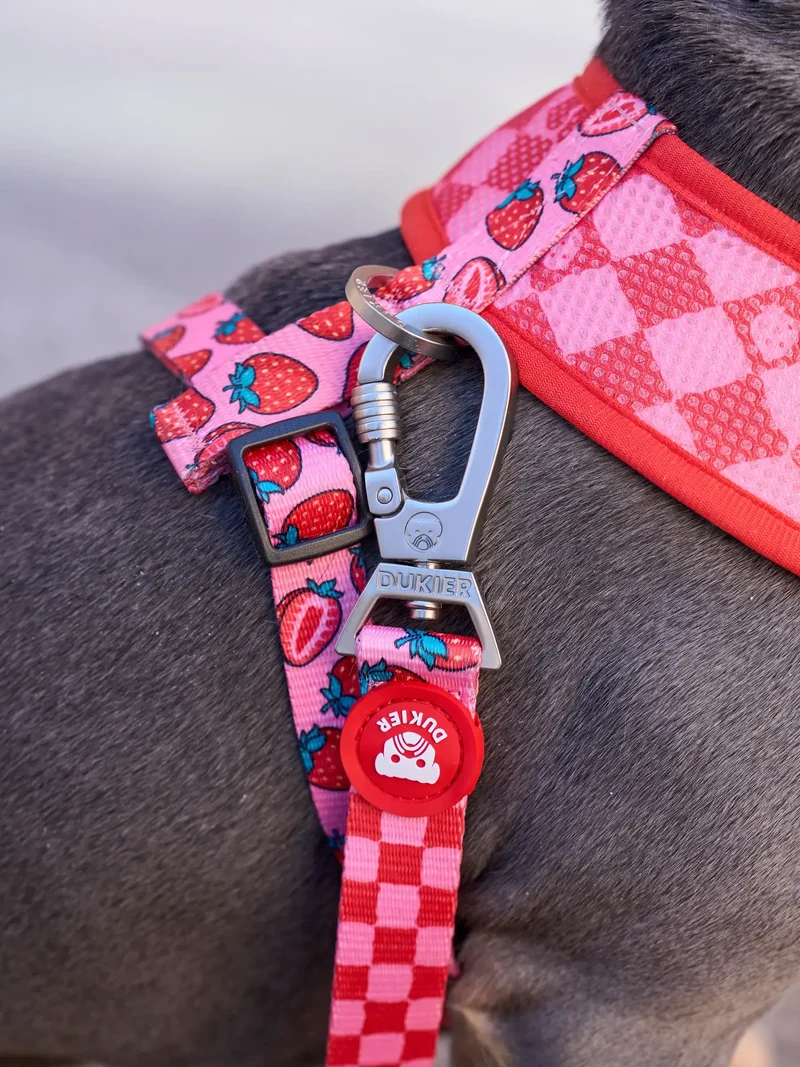 🍓 Arnés reversible Berry Love DUKIER | Comodidad y diseño 2 en 1