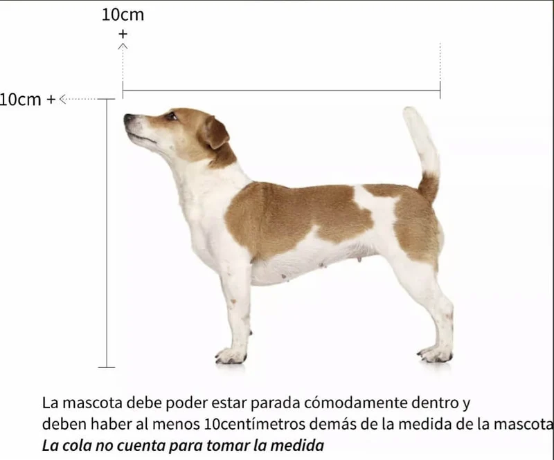 Nayeco Transportín Bracco Travel: Viajes seguros, cómodos y con estilo para tu mascota