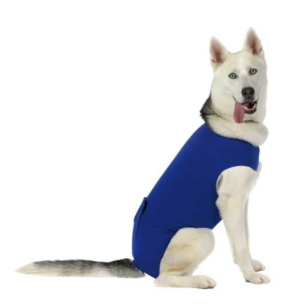 👕 Camiseta de recuperación postoperatoria KVP para perros y gatos | Confort, protección y bienestar tras una cirugía