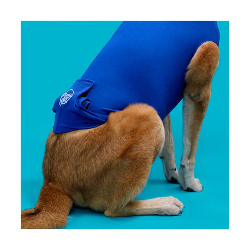 👕 Camiseta de recuperación postoperatoria KVP para perros y gatos | Confort, protección y bienestar tras una cirugía