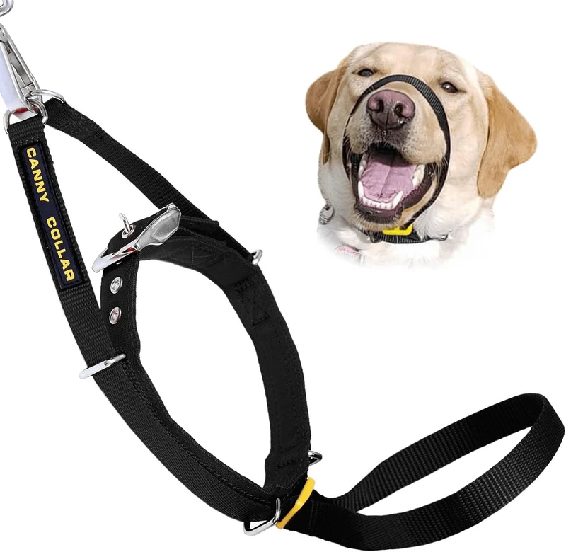 Collar Canny | El mejor collar anti tirones para ayudar a entrenar a tu perro a no tirar