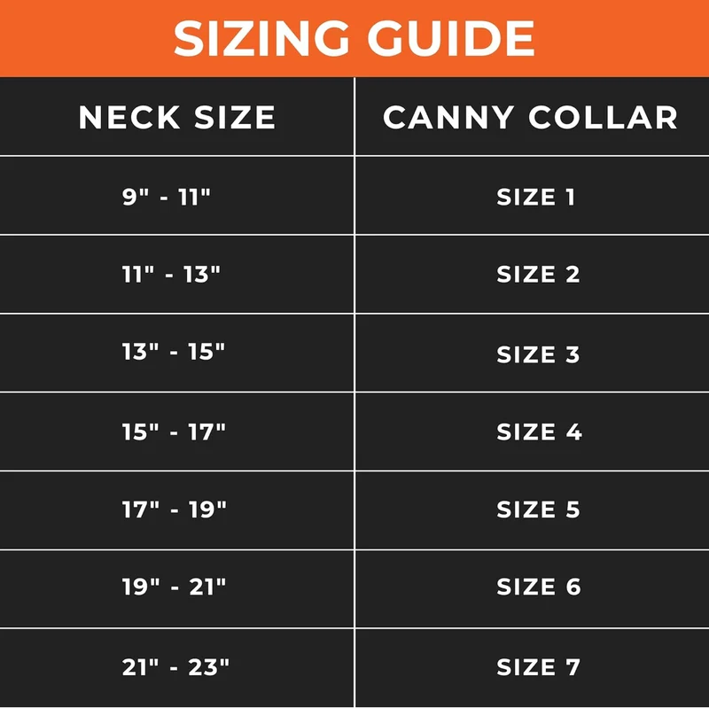 Collar Canny | El mejor collar anti tirones para ayudar a entrenar a tu perro a no tirar