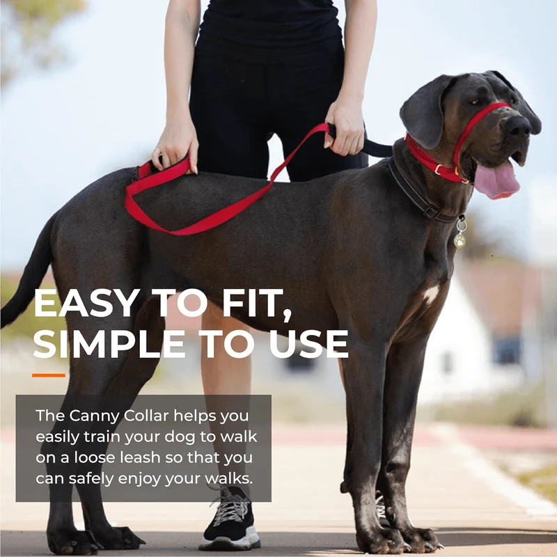 Collar Canny | El mejor collar anti tirones para ayudar a entrenar a tu perro a no tirar